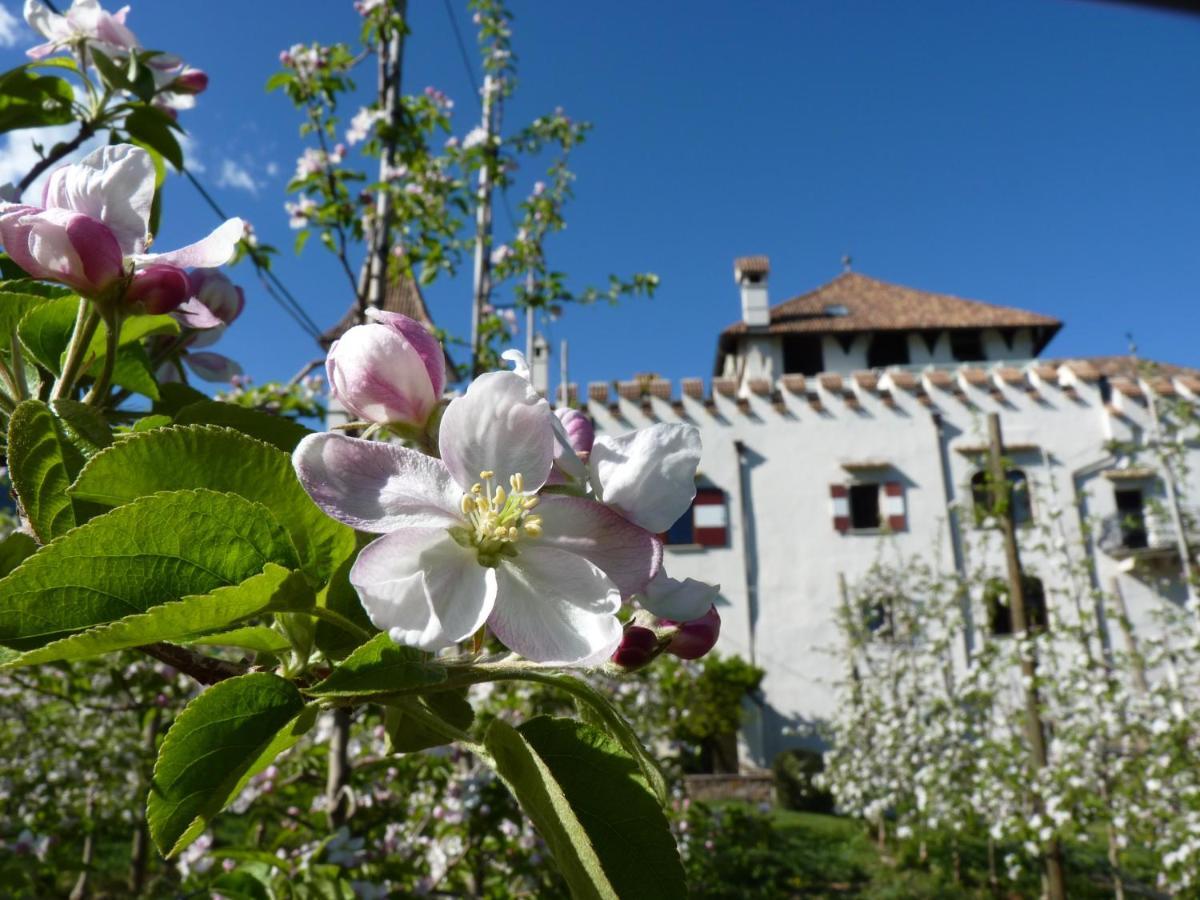 Apartments Schloss Paschbach Аппиано-Сулла-Страда-дель-Вино Экстерьер фото