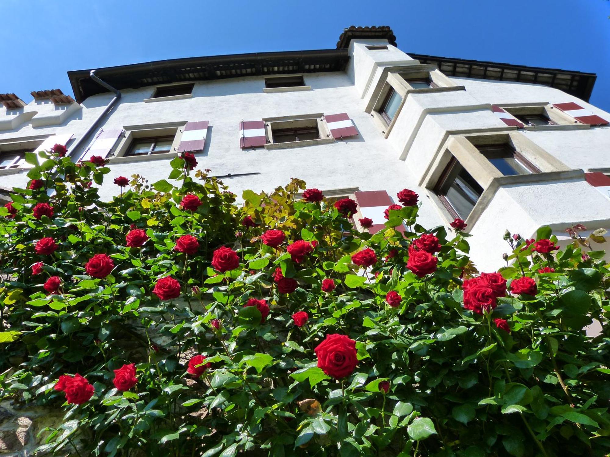 Apartments Schloss Paschbach Аппиано-Сулла-Страда-дель-Вино Экстерьер фото