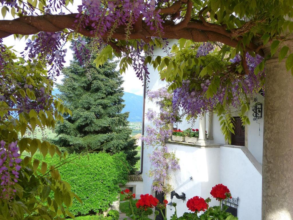 Apartments Schloss Paschbach Аппиано-Сулла-Страда-дель-Вино Экстерьер фото